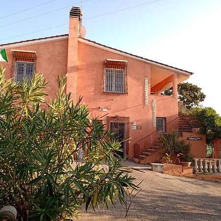 Poggio Agli Ulivi Villa Frascati Exteriör bild
