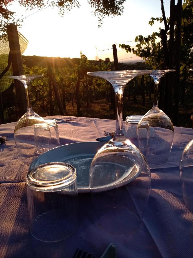 Poggio Agli Ulivi Villa Frascati Exteriör bild