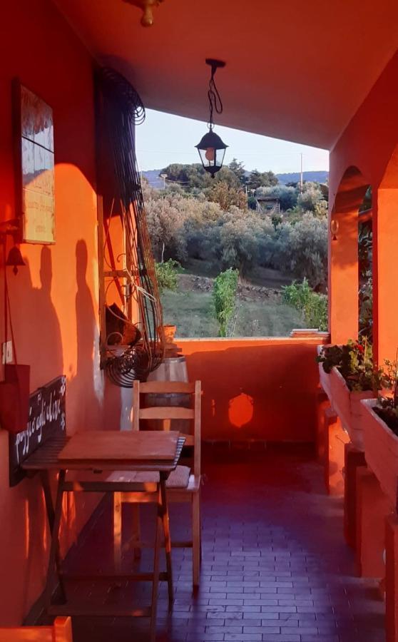 Poggio Agli Ulivi Villa Frascati Exteriör bild