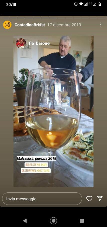 Poggio Agli Ulivi Villa Frascati Exteriör bild