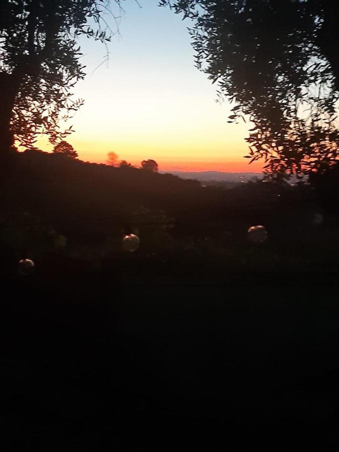 Poggio Agli Ulivi Villa Frascati Exteriör bild