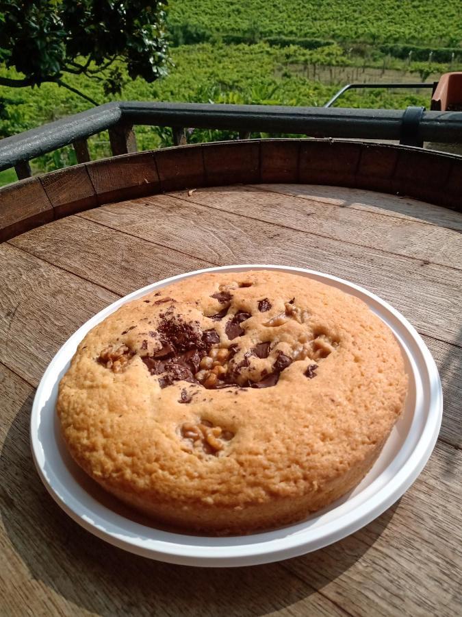 Poggio Agli Ulivi Villa Frascati Exteriör bild