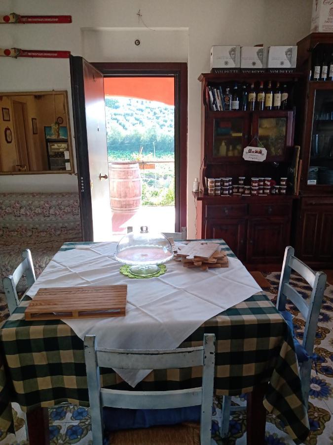 Poggio Agli Ulivi Villa Frascati Exteriör bild