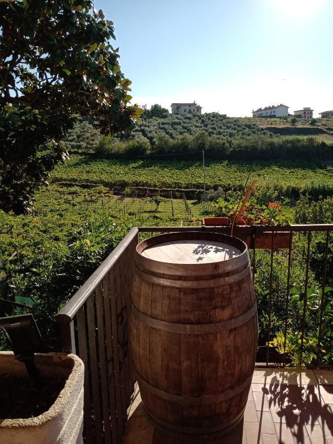 Poggio Agli Ulivi Villa Frascati Exteriör bild