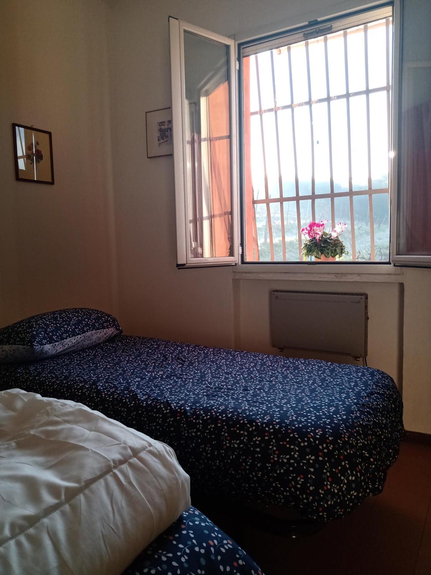 Poggio Agli Ulivi Villa Frascati Exteriör bild