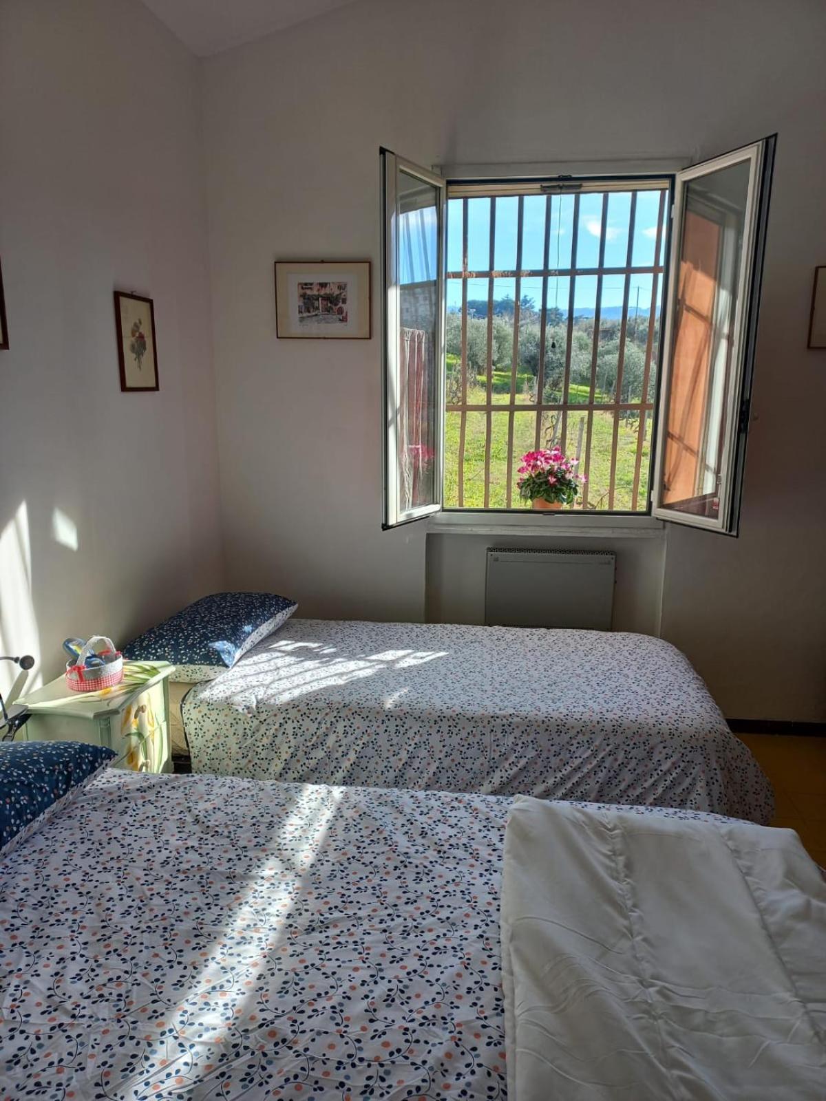 Poggio Agli Ulivi Villa Frascati Rum bild
