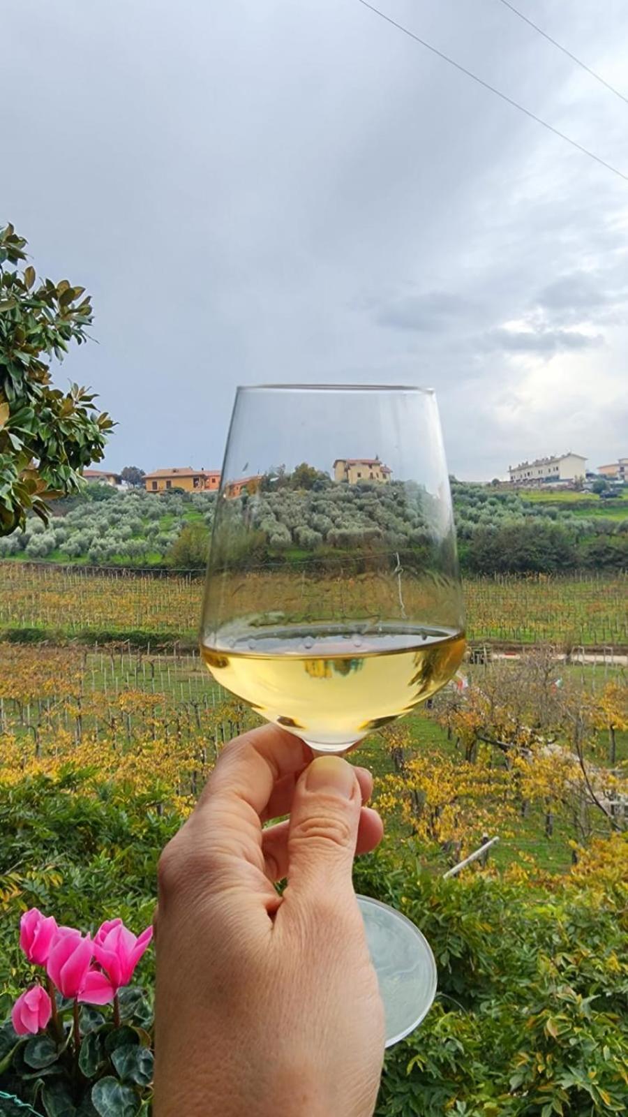 Poggio Agli Ulivi Villa Frascati Exteriör bild
