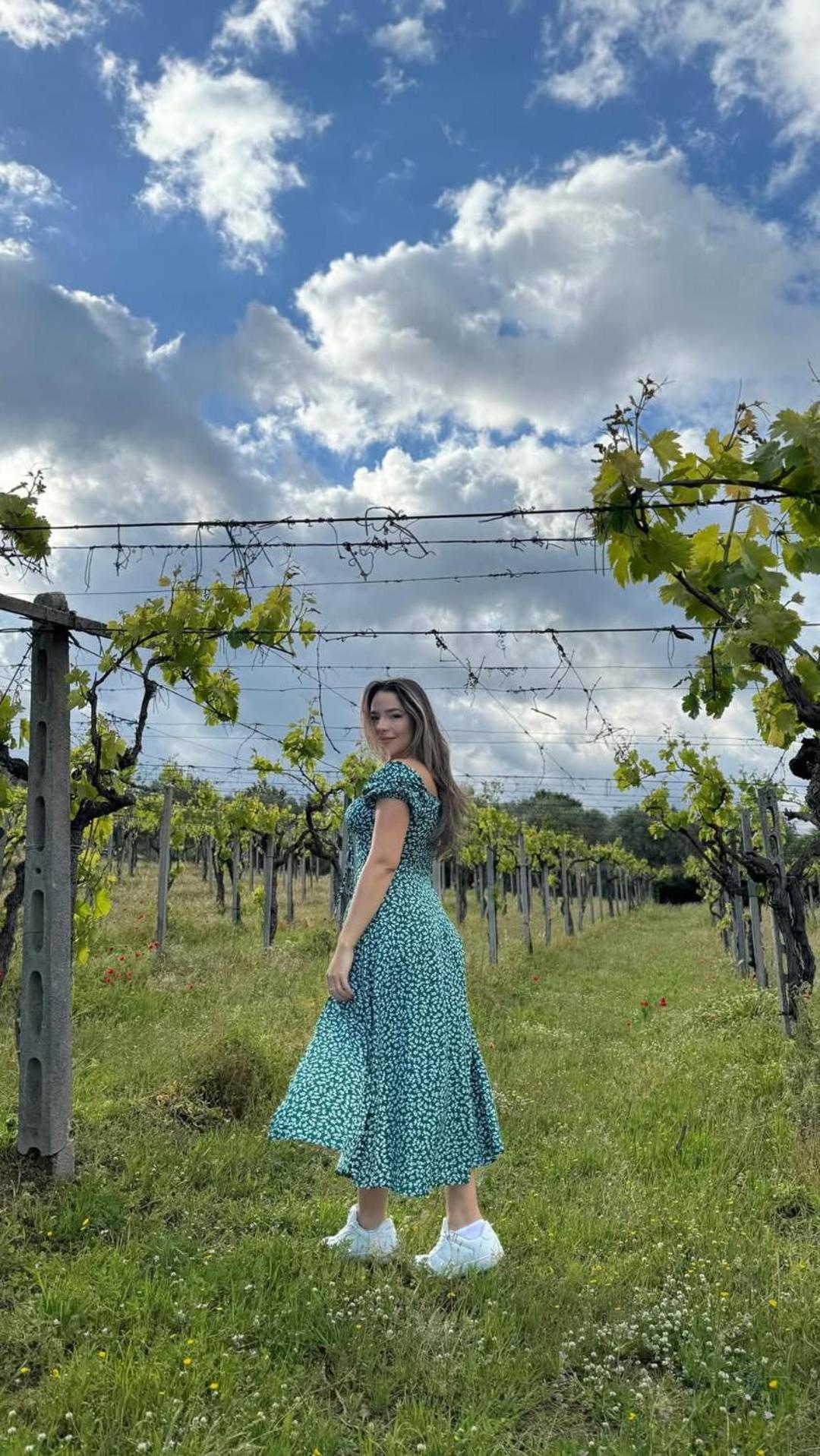 Poggio Agli Ulivi Villa Frascati Exteriör bild